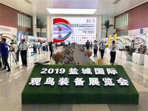 鹽城國際展覽中心 工業骨架與自然呼吸的共鳴